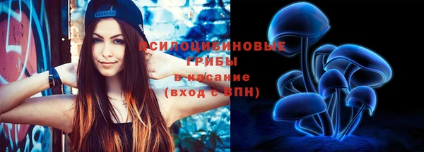 метадон Горняк