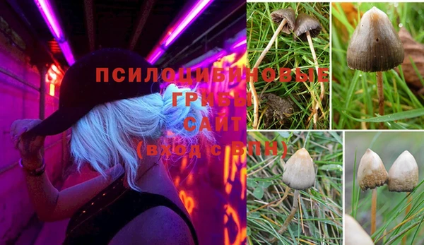 гашиш Горнозаводск