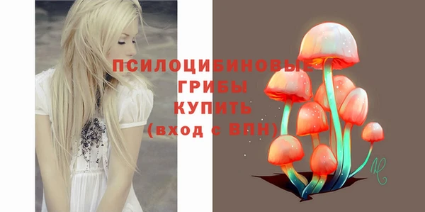 метадон Горняк