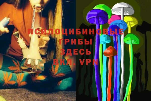 гашиш Горнозаводск
