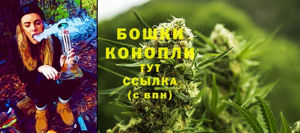 соль курить ск Горно-Алтайск