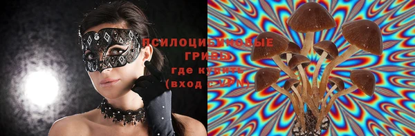 метадон Горняк