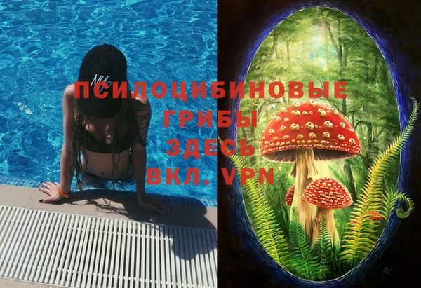 метадон Горняк